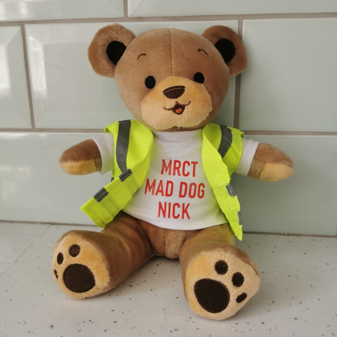 Teddy with Hi Vis Jacket