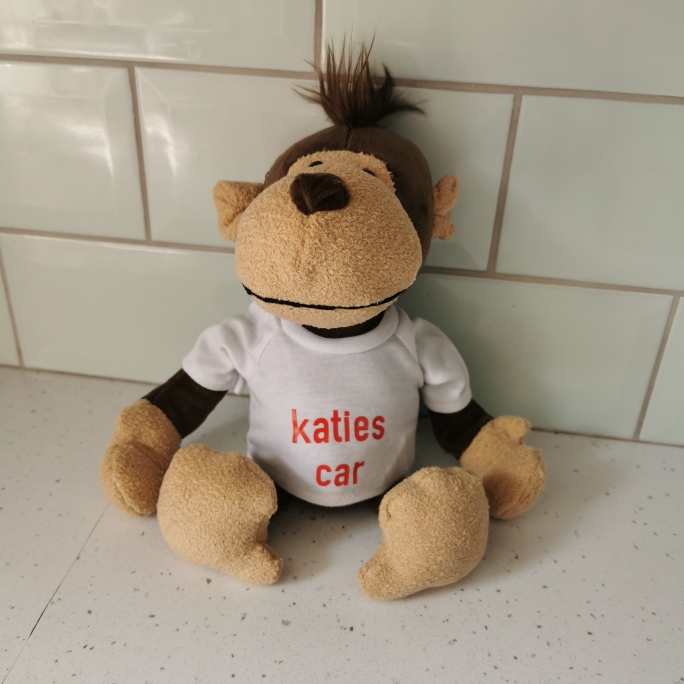 Personalised Cuddly Toys, Customised Plush Teddy Bears, Personalised Soft Cuddly New Baby Gifts - Image 22
