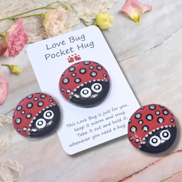 Love Bug Ladybird Pocket Hug Pebble Design