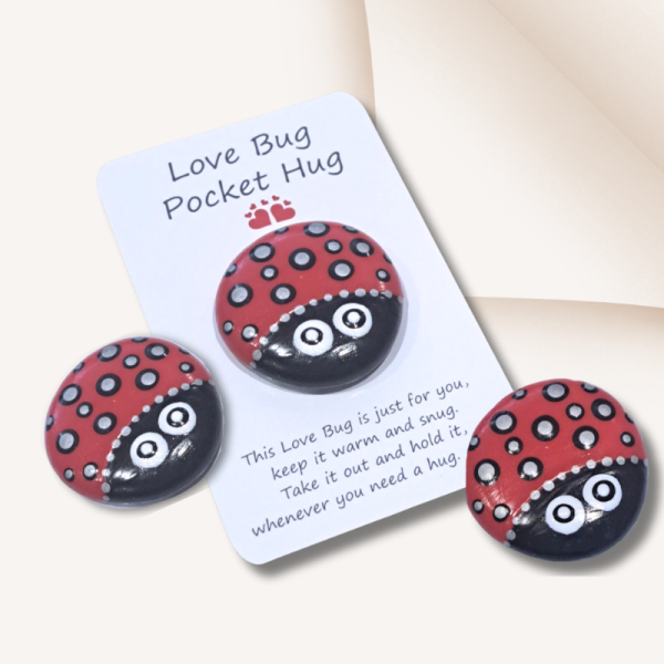 Ladybird Pocket Hug Pebble Love Bug Valentines Gift Ladybug Pocket Hug - Image 2