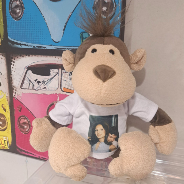 Personalised Cuddly Toys, Customised Plush Teddy Bears, Personalised Soft Cuddly New Baby Gifts - Image 12