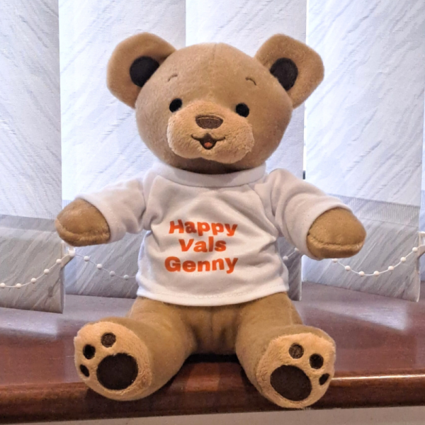 Personalised Cuddly Toys, Customised Plush Teddy Bears, Personalised Soft Cuddly New Baby Gifts - Image 13