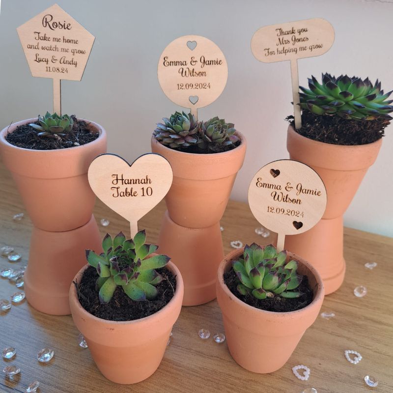 Personalised Wooden Wedding Names, Wedding Place Names, Wedding Table Decor Signs, Succulent Plant Name Tags - Image 7
