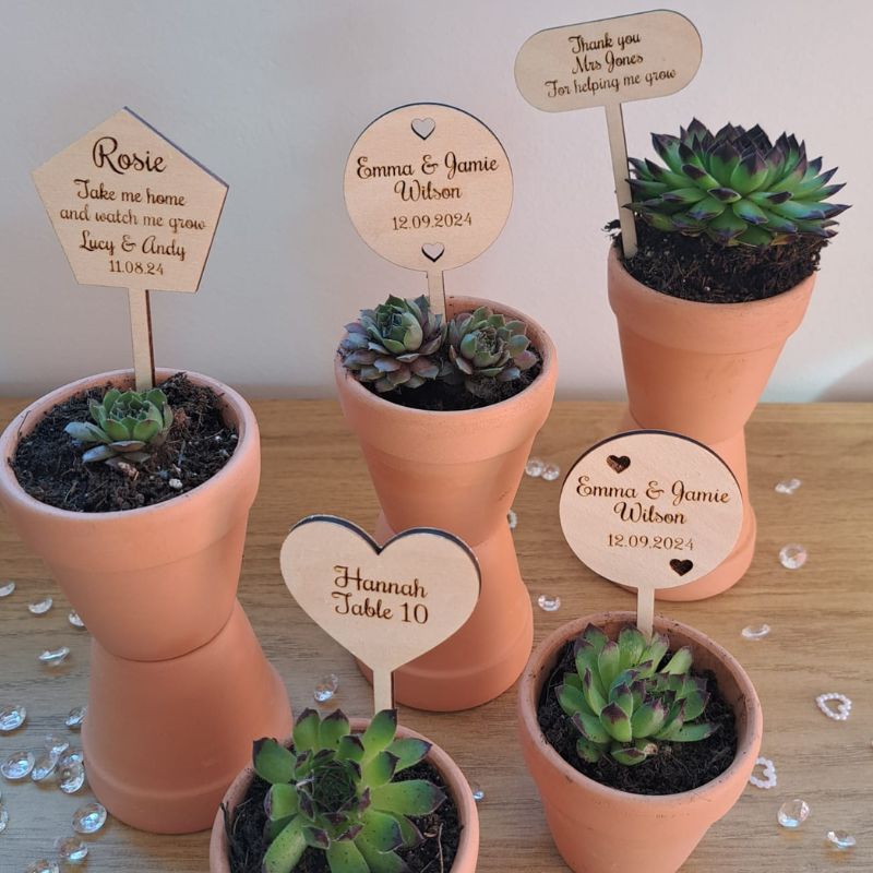 Personalised Wooden Wedding Names, Wedding Place Names, Wedding Table Decor Signs, Succulent Plant Name Tags - Image 6