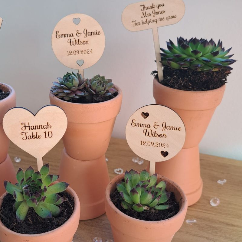 Personalised Wooden Wedding Names, Wedding Place Names, Wedding Table Decor Signs, Succulent Plant Name Tags - Image 3