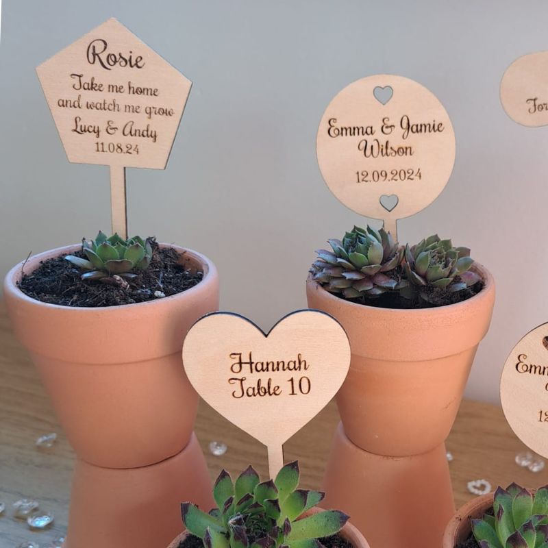 Personalised Wooden Wedding Names, Wedding Place Names, Wedding Table Decor Signs, Succulent Plant Name Tags - Image 5