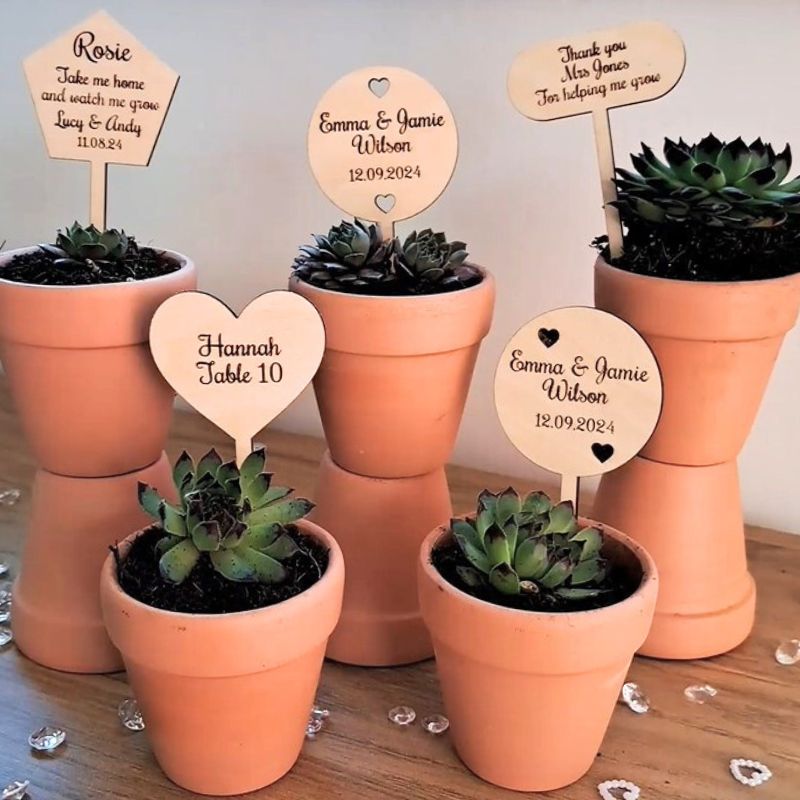Plant Sign for Wedding Table - Wedding Favour - Wedding Succulent - Table Chart Tag