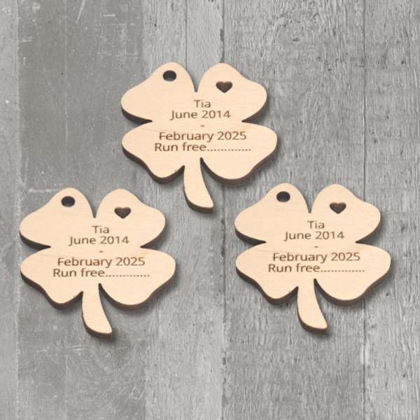 Irish 4 Leaf Clover Personalised Funeral Favours Memorial Tributes Remembrance In Loving Memory Tokens, Memory Keepsake Pocket Hug - Image 6