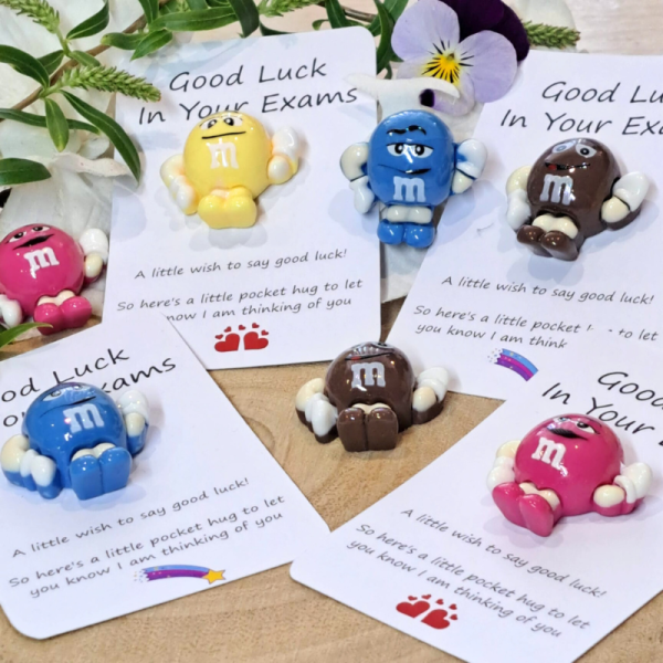 M&M Pocket Hug Good Luck In Your Exams