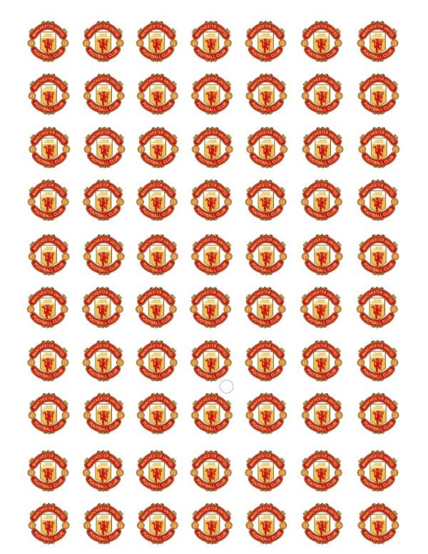 Manchester United Badge water decals