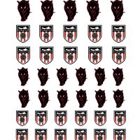Sunderland AFC water decals