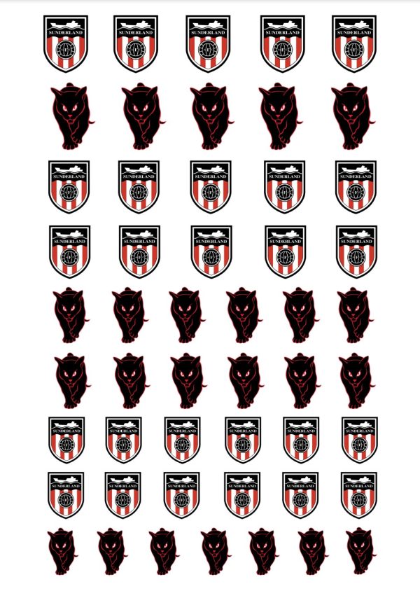 Sunderland AFC water decals
