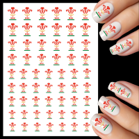 Welsh Rugby Badge water decals