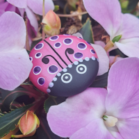 Pink Pearlescent Ladybird Pocket Hug Pebble